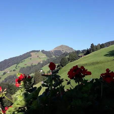 Bergpension Ebental Guest house